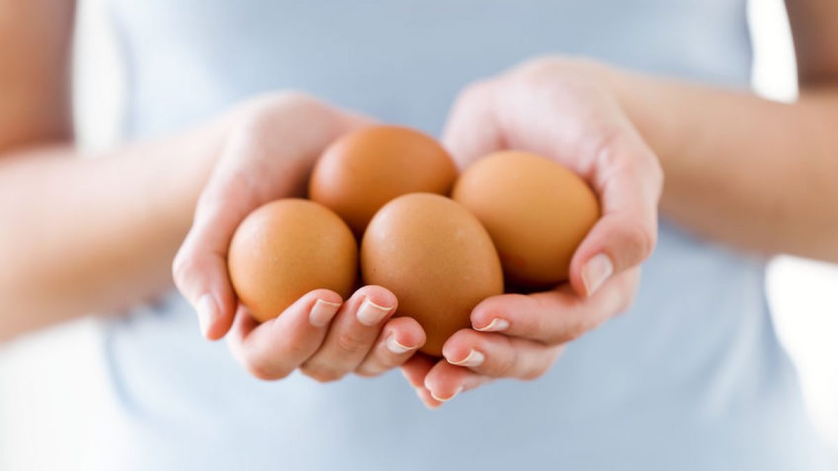 Harvesting Clean Eggs: tips to collecting eggs that don't require