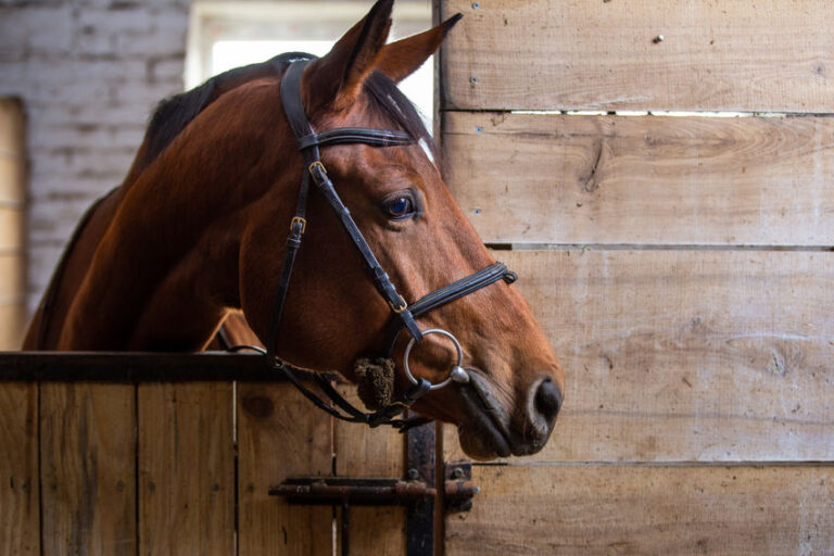 do-you-need-to-heat-your-horse-barn-deer-creek-structures